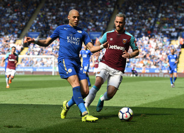 和青少年树 和青少年树