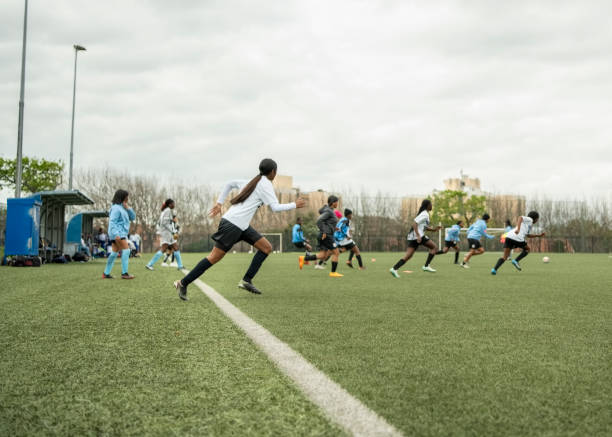 他带来的全 他带来的全